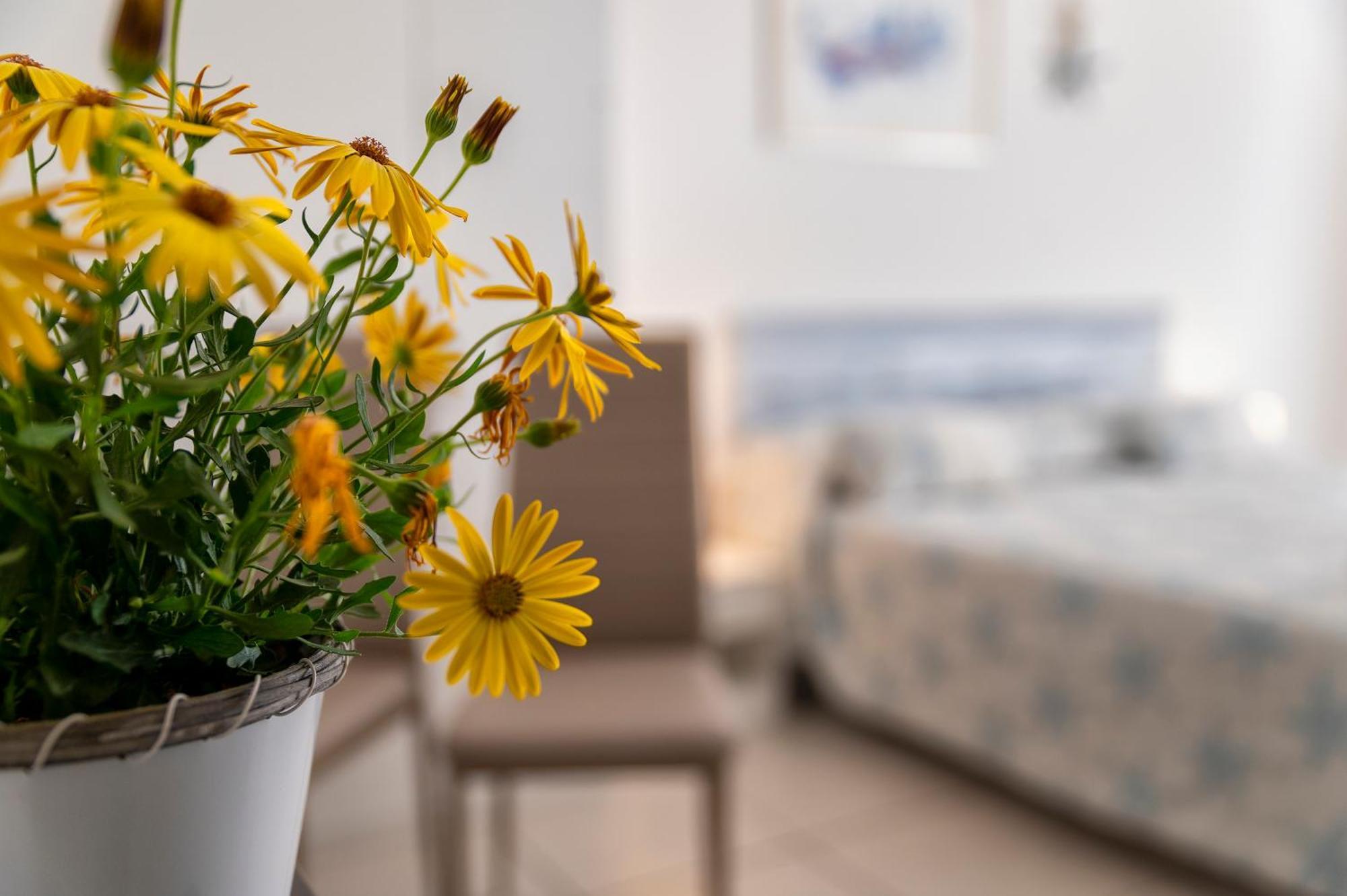 Horizon Bed & Breakfast Alghero Ngoại thất bức ảnh